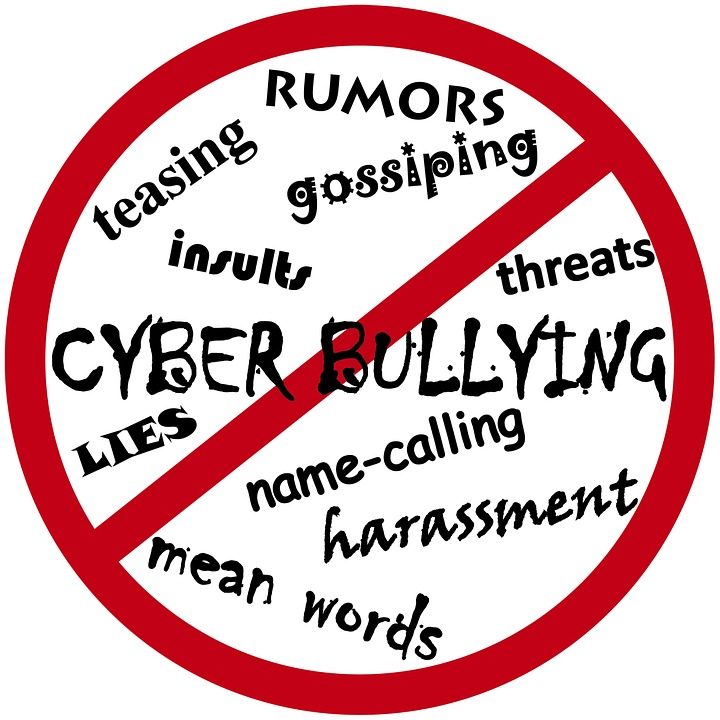 cyberbullying graphic showing types of cyberbullying