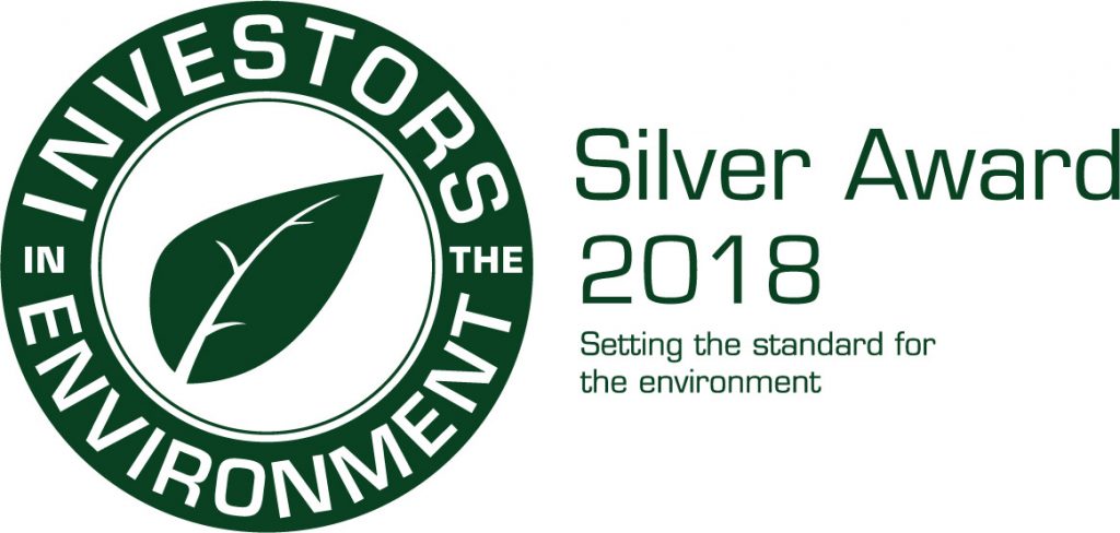 iiE Silver accrediation award logo